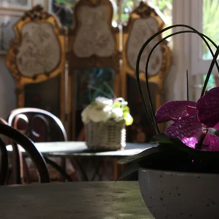 Nina 2* Αντίμπ