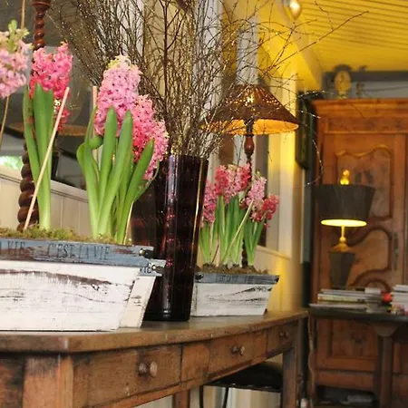 Nina Ξενοδοχείο Αντίμπ